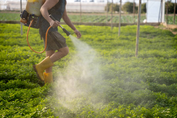 Best Commercial Pest Control Services  in Dolan Springs, AZ