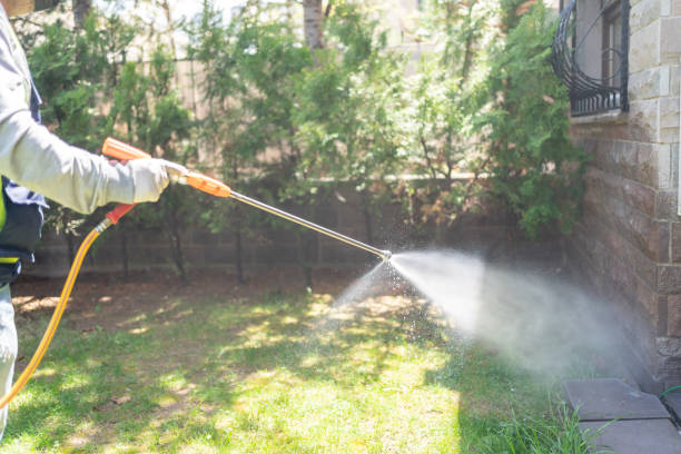 Best Flea Control Services  in Dolan Springs, AZ